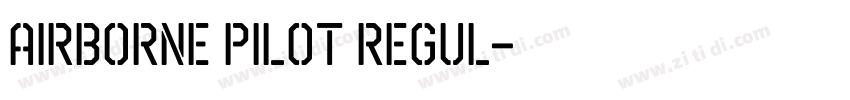 Airborne Pilot Regul字体转换